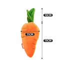 Small Carrot