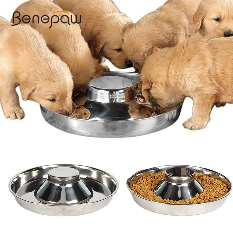 Benepaw cuenco acero inoxidable perros pequeños medianos grandes alimentación segura