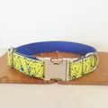 Dog Collar