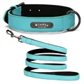 Blue Collar Leash