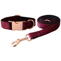Dog Collar Leash Set