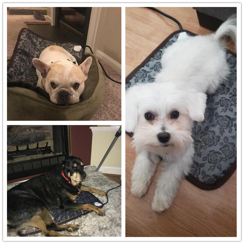 Benepaw-almohadilla calefactora ajustable para perro, gato, cachorro, protección contra apagado, estera eléctrica cálida para mascotas, cama impermeable, alambre resistente a mordeduras - imagen 3