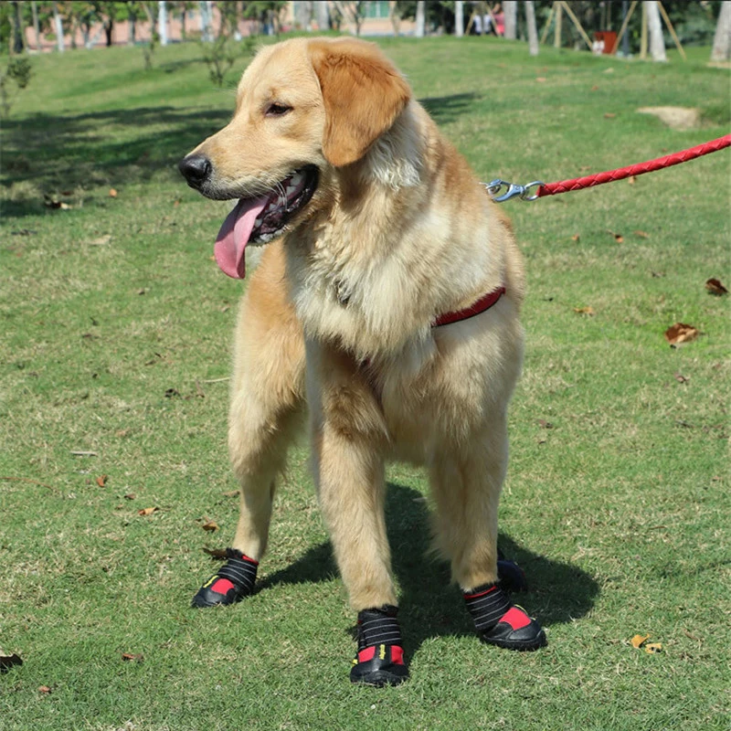 4 unids/set zapatos para perros medianos y grandes botas impermeables para perros de nieve y lluvia duraderas transpirables adiestramiento al aire libre senderismo zapatos para perros - imagen 3