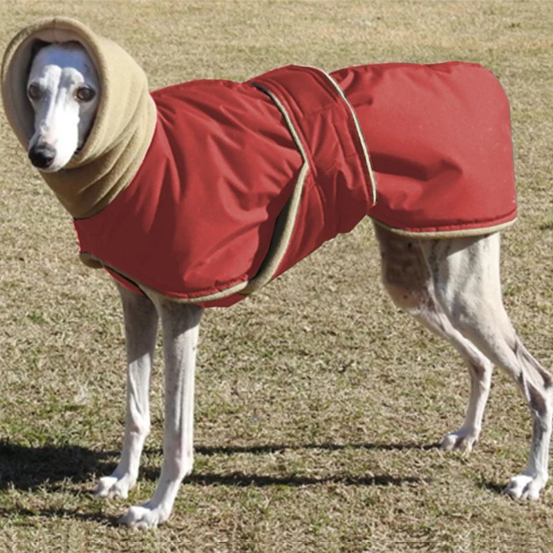 Chaqueta de plumón para perros grandes y medianos - imagen 5