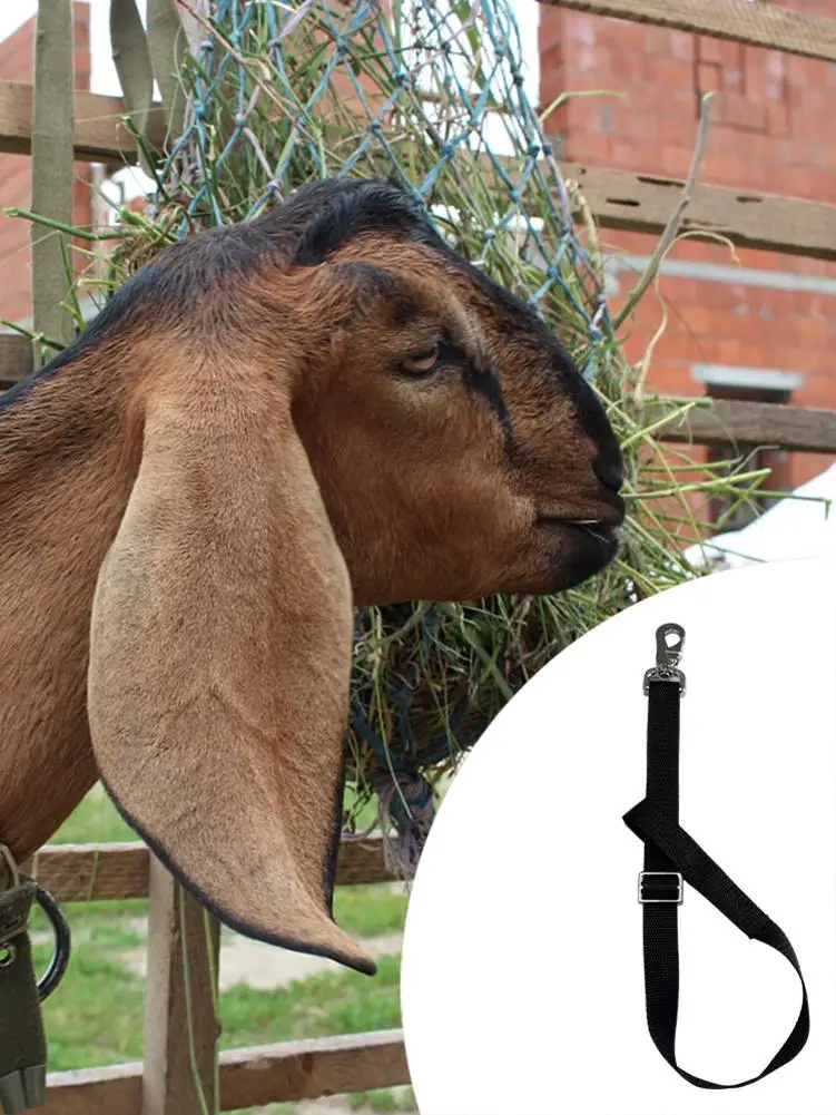 Cinturón de cubo de nailon ajustable para animales de granja, Cubo de red de heno, alimentador para exteriores, cubo resistente con cinturón colgante - imagen 2
