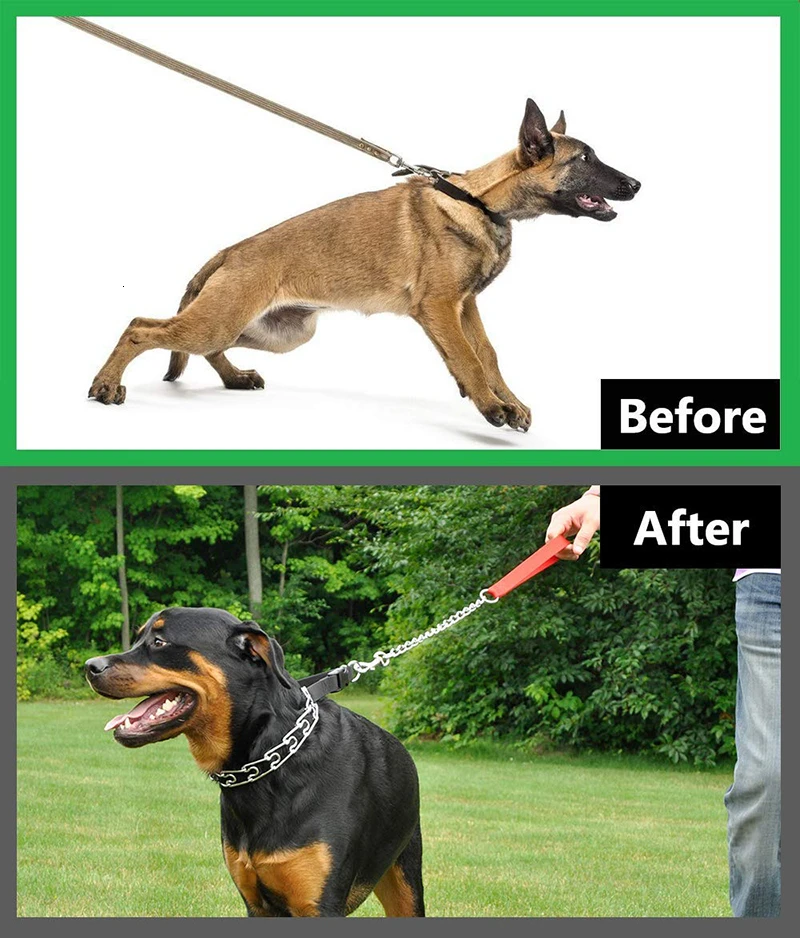 Benepaw-Collar de entrenamiento para perros, accesorio ajustable con puntas cómodas, ideal para perros medianos y grandes, Pastor Alemán, Pitbull - imagen 3