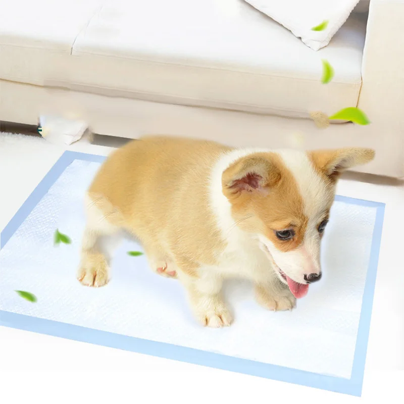10 piezas súper absorbente perro gato pañal desechable de desodorante cachorro mascota orina pañales Pad Mat gato baño perros productos - imagen 3