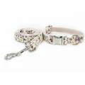 Dog Collar Leash Set