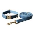 Dog Collar Leash Set