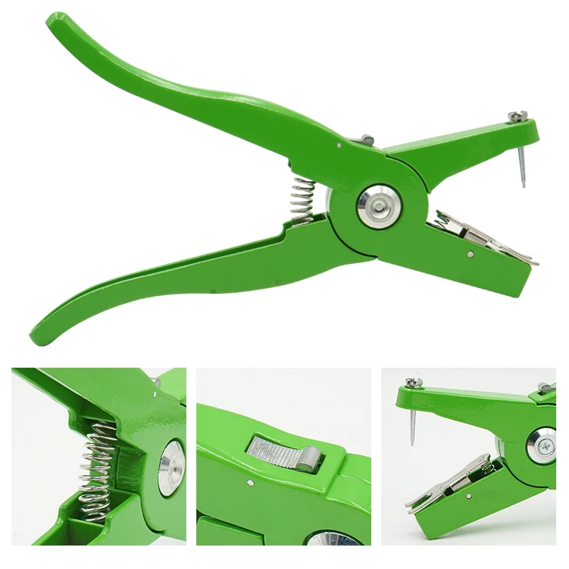 Ganadero identificando animal en campo