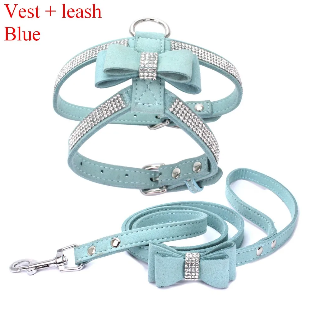 Harness Leash Blue