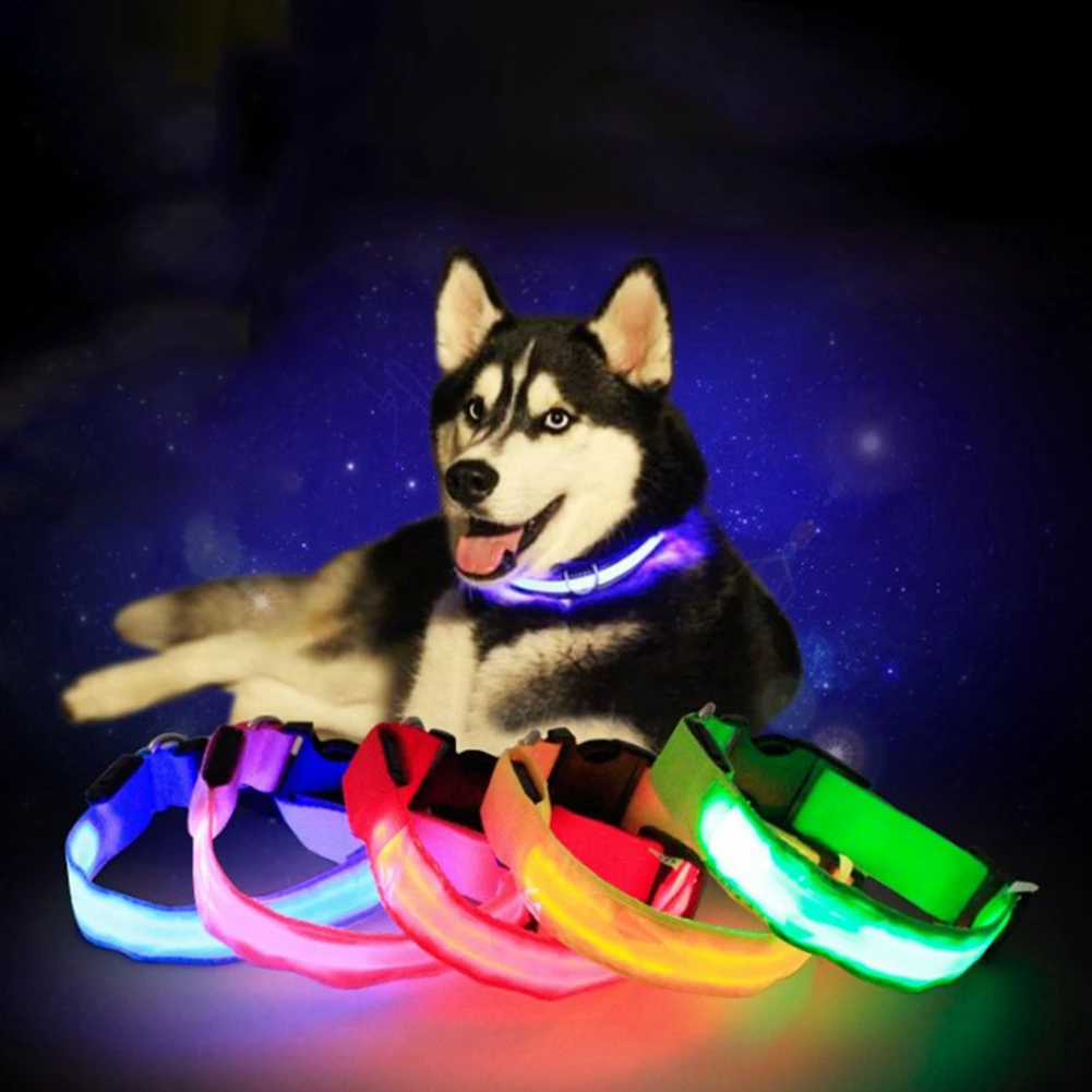 Collar de perro Led recargable por USB, Collar antipérdida/evita accidentes de coche para perros, cachorros, suministros LED, productos para mascotas - imagen 2