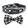 Black Plaid Collar