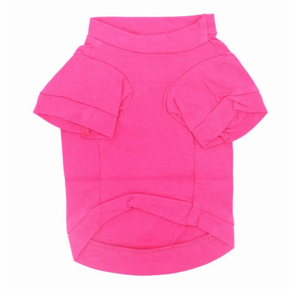 4313412002_361259826