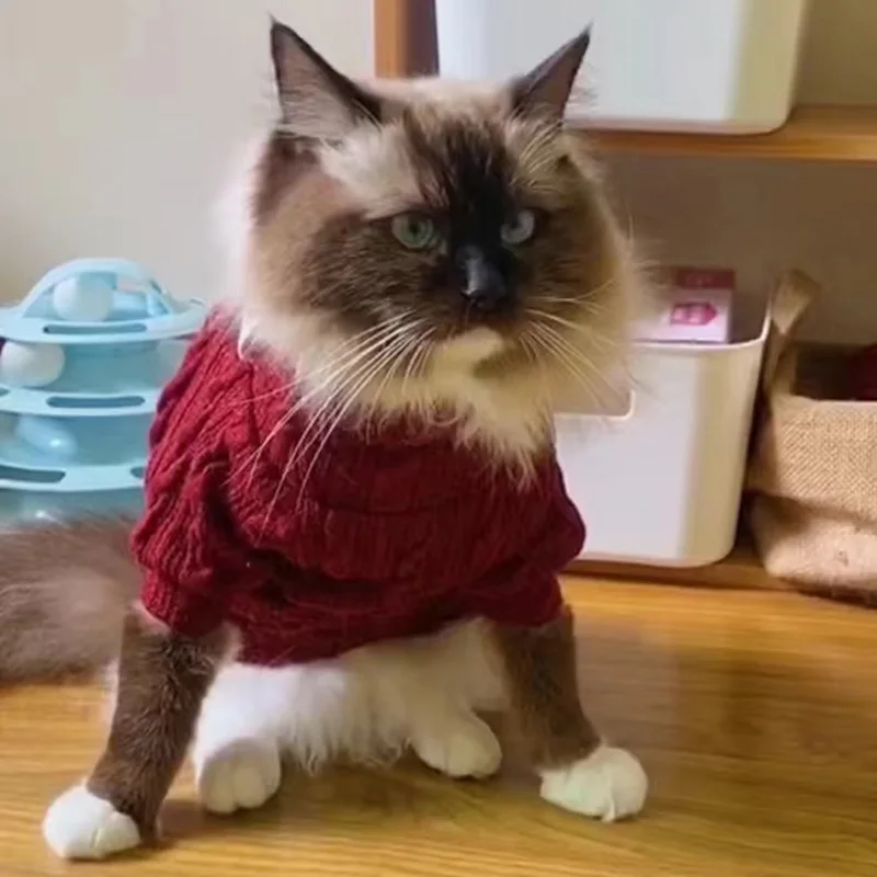 Suéter rayas verticales perros gatos - Detalle de cuello y acabados