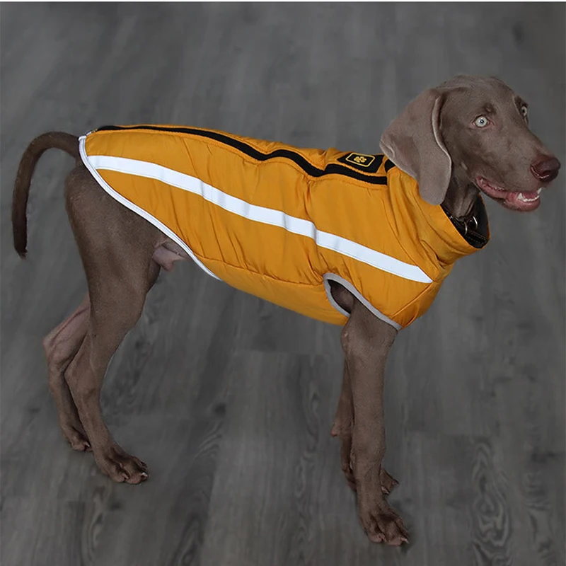 Chaqueta reflectante impermeable invierno para perro grande Weimaraner - imagen 4