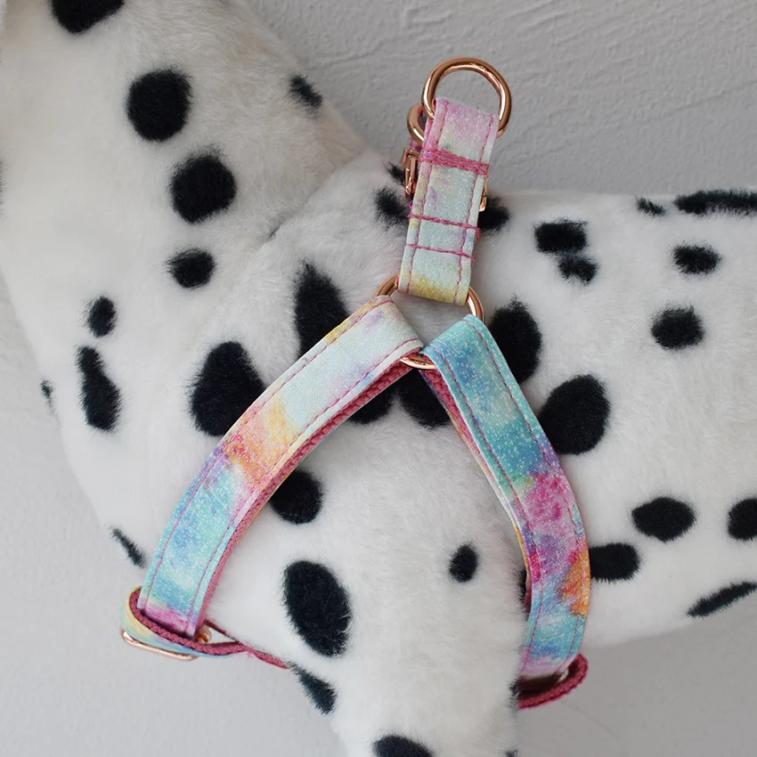 Arnés con grabado personalizado para perro, collar ajustable con correas impresas para identificación de mascotas, pequeños y medianos para cachorros, Teddy Bulldog - imagen 3