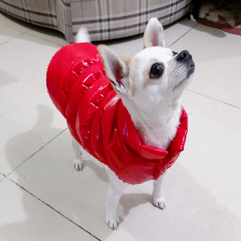 Ropa cálida de algodón para cachorros, chaqueta de invierno para perros pequeños, abrigo para gatos maltés, ropa para perros y mascotas - imagen 3
