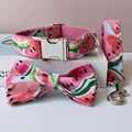 Bow Collar Leash Set