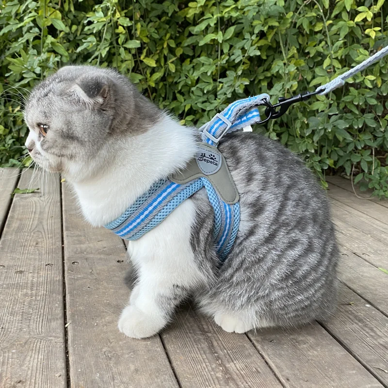 Arneses para gatos y Cachorros para caminar al aire libre, accesorios para Mascotas pequeñas, conjunto de arnés y correa de malla para Mascotas, suministros Sphynx Katten - imagen 3