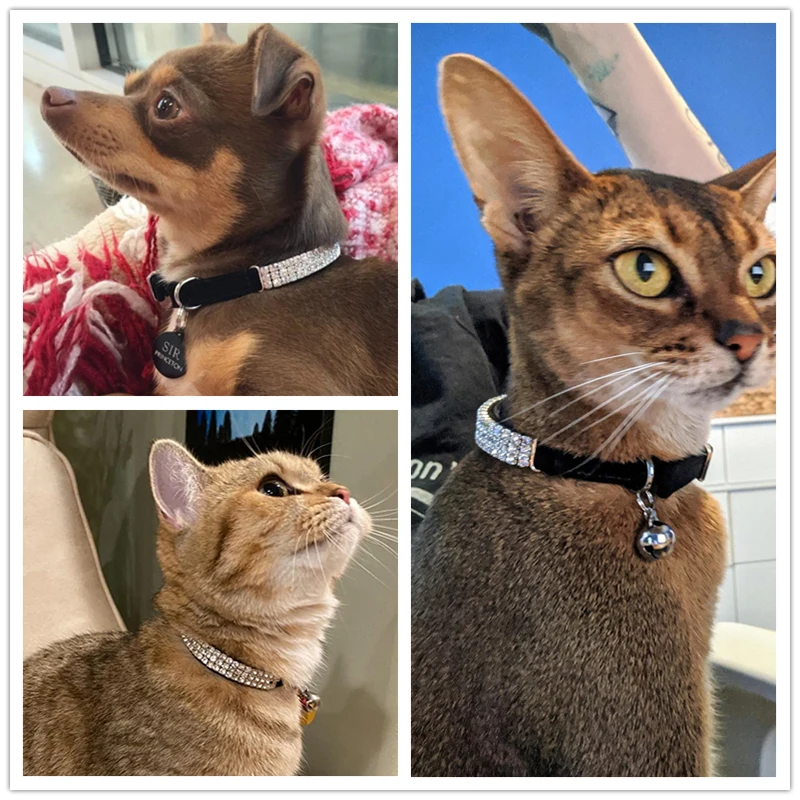 Benepaw-Collar de piel sintética con diamantes de imitación para gato, con campana, cómodo y ajustable, acolchado de terciopelo suave para gatitos, cachorros y mascotas, para perros pequeños - imagen 2