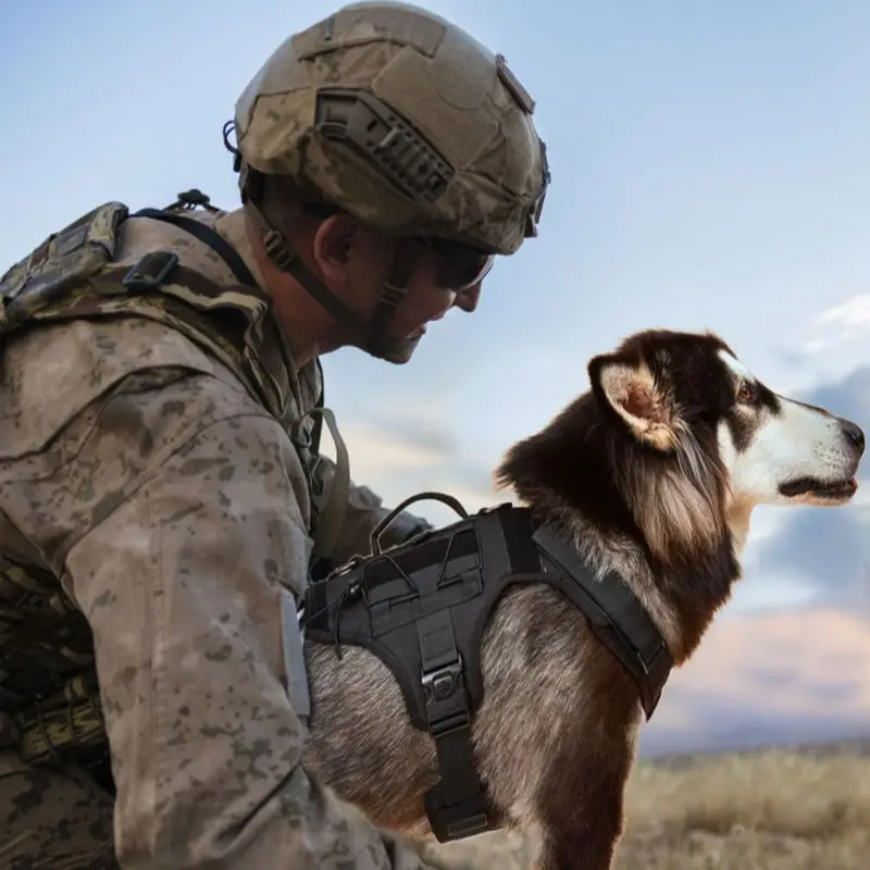 Arnés táctico para perros grandes y grandes, chaleco para mascotas, ropa de trabajo pesado, entrenamiento de seguridad, accesorios para perros pastor alemán - imagen 3