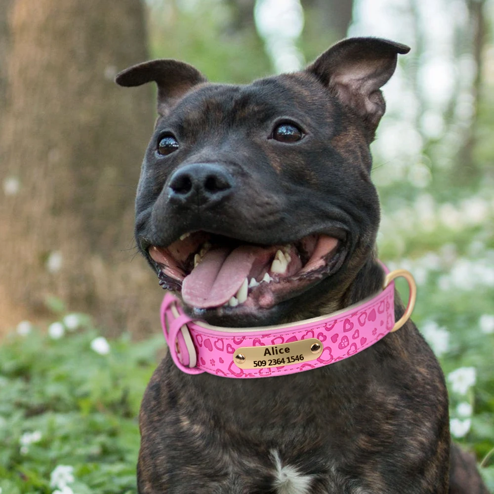 Collares de Cuero Personalizados para Perros - imagen 5