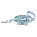 Leash Blue