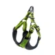 Green Harness