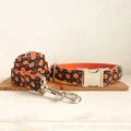 Dog Collar Leash Set