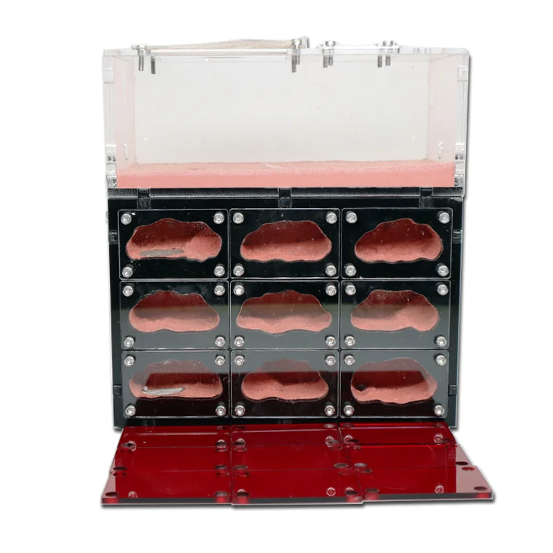 Granja de hormigas ecológica con luces independientes Control de hormigas de granja de hormigas nido de hormigas Sala de estar Hotel de insectos de hormigón con taller - imagen 5