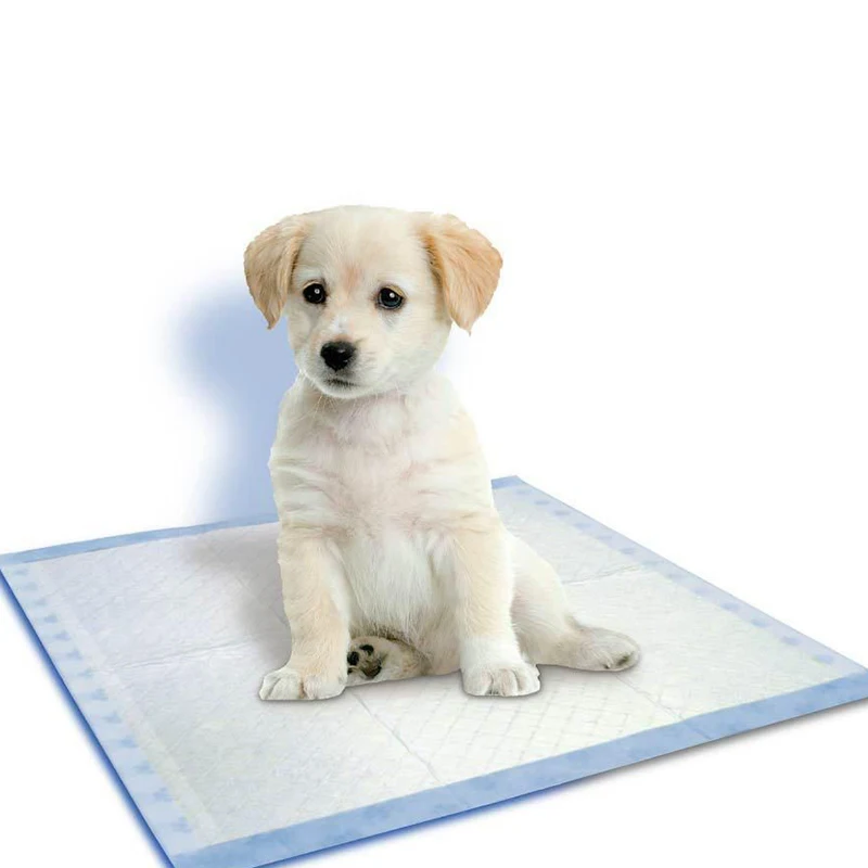 Pañales en diferentes mascotas mostrando versatilidad