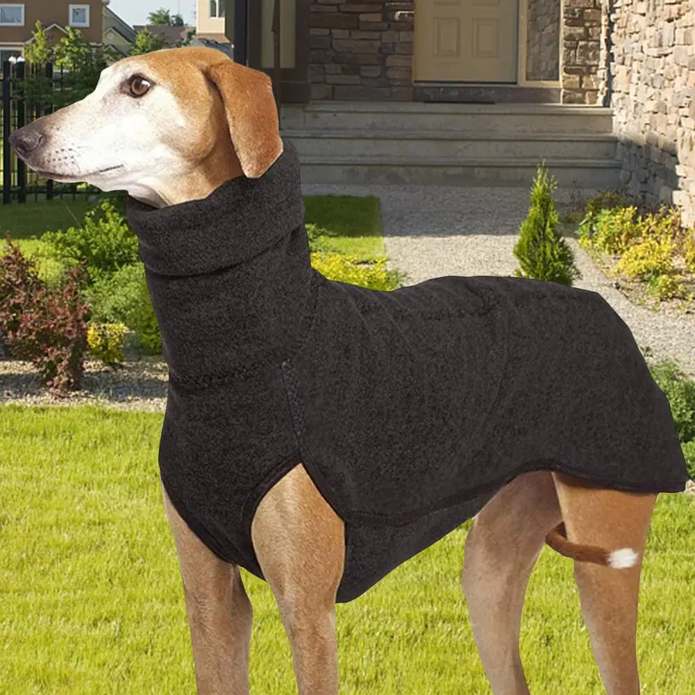 Suéter cálido de cuello alto para perro, ropa de punto para perros pequeños, Chihuahua, Otoño e Invierno - imagen 4