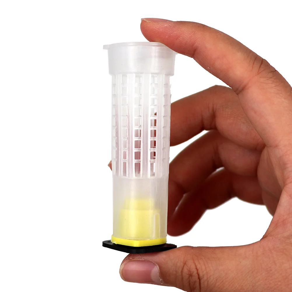Juego de vasos de plástico para la cría de abejas, jaulas de protección para abejas, Soporte para vasos, equipo de apicultor, 10 Uds. - imagen 4