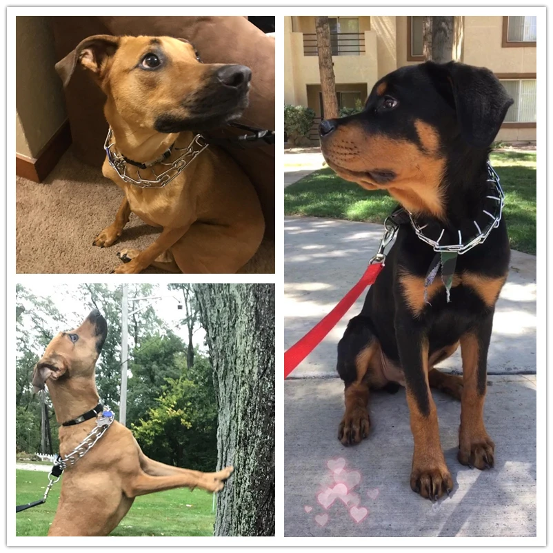 Benepaw-Collar de entrenamiento para perros, accesorio duradero, ajustable, seguro, resistente, para mascotas, Pastor Alemán, Pitbull, de fácil Control - imagen 2