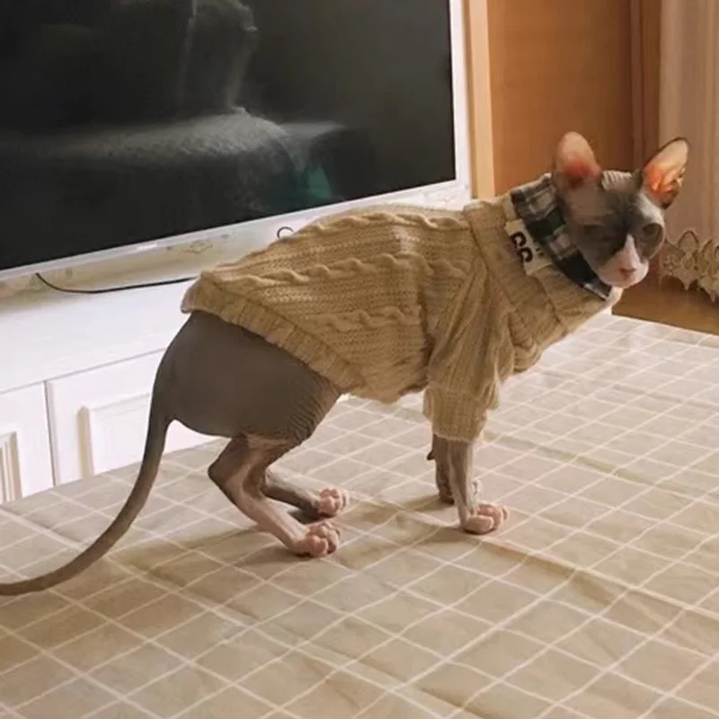 Suéter rayas verticales perros gatos - Mascota durante paseo invernal