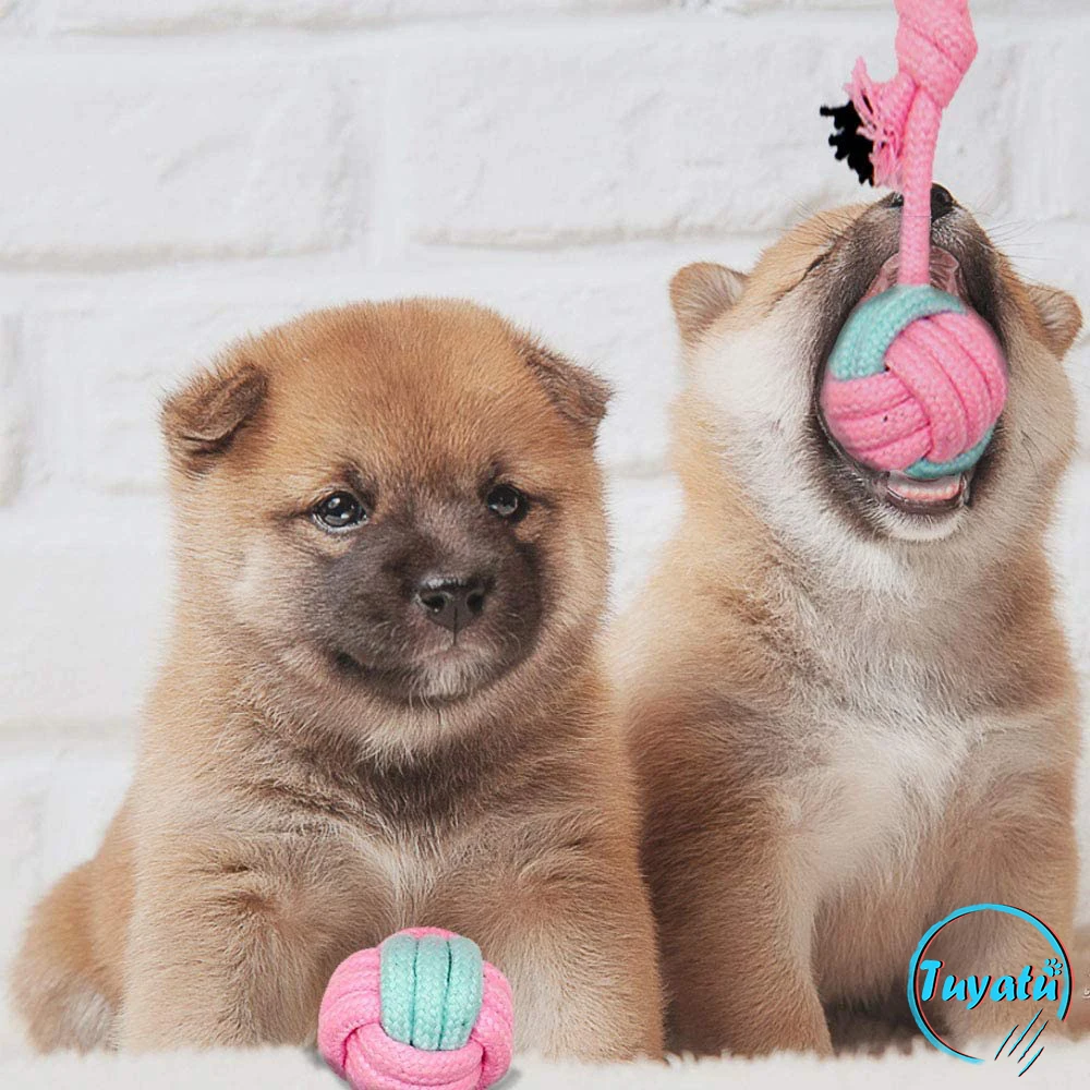 Juguete masticable de cuerda de algodón para perros pequeños, bola para masticar, duradera e interactiva, para cachorros, 6 paquetes - imagen 4