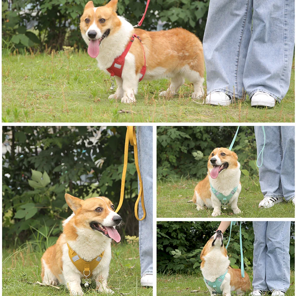 Detalle del chaleco de pecho acolchado del arnés