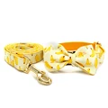Bow Collar Leash Set