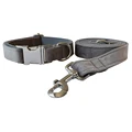 Dog Collar Leash Set
