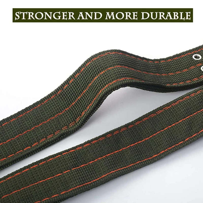 Collar con perro grande mostrando uso