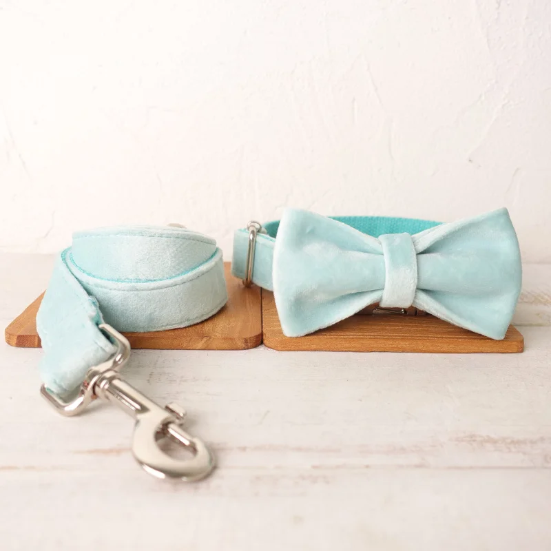 Bow Tie Collar Leash