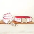 Dog Collar Leash Set