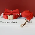 Bow Collar Leash Set