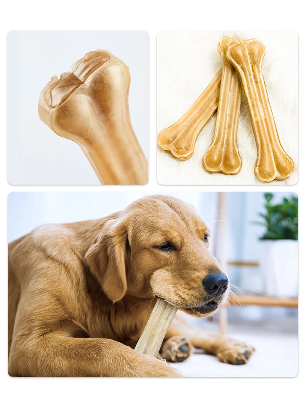 Perro mediano jugando con el hueso de limpieza dental