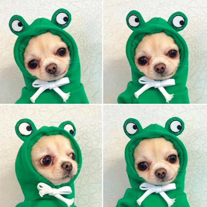 Green Frog
