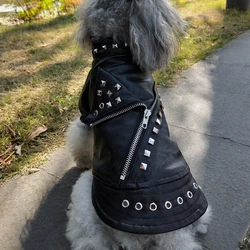 Pilas AA para collares GPS y dispositivos de mascotas