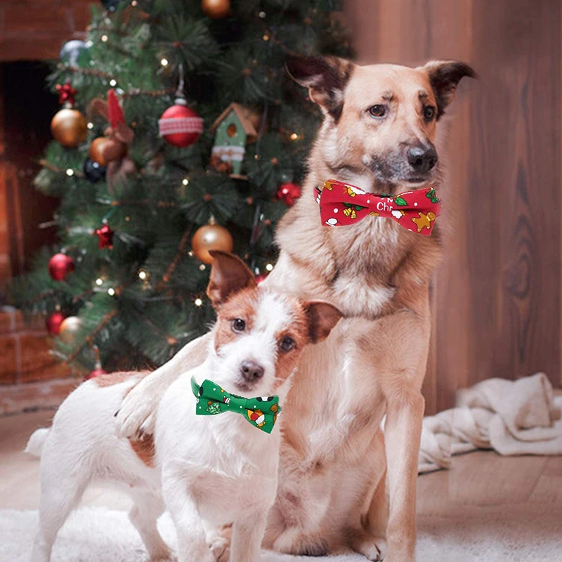 Collar pajarita - Uso en mascotas