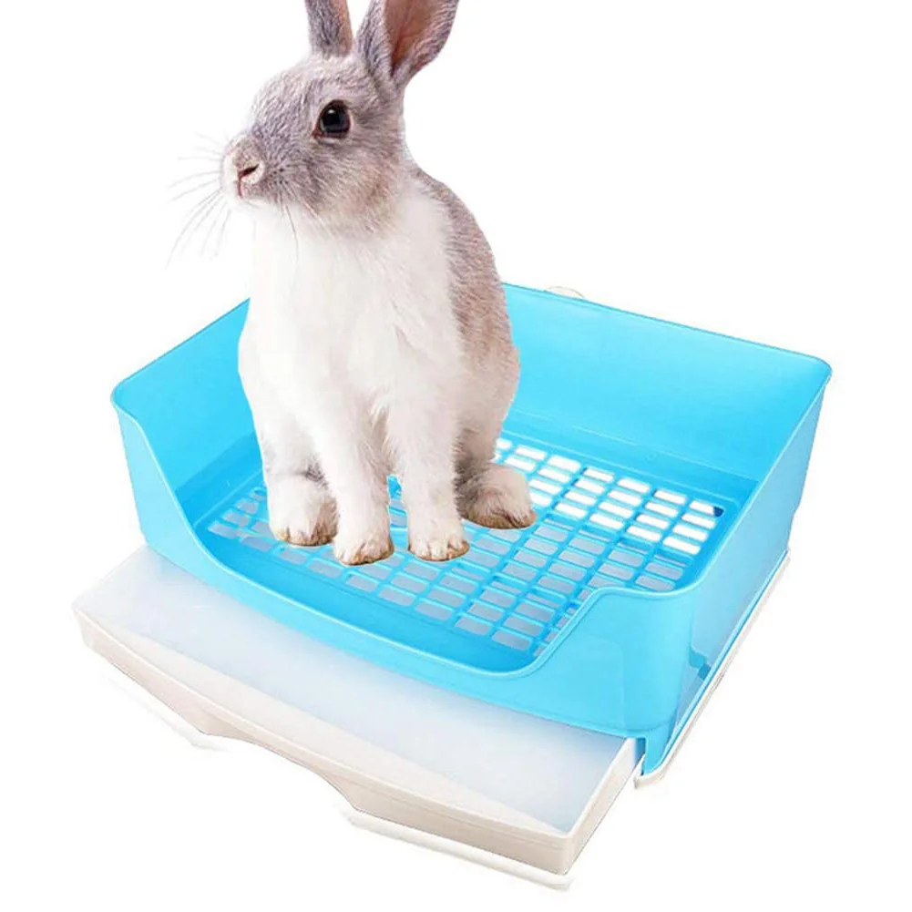 Arena conejos - Conejo modelo usando caja