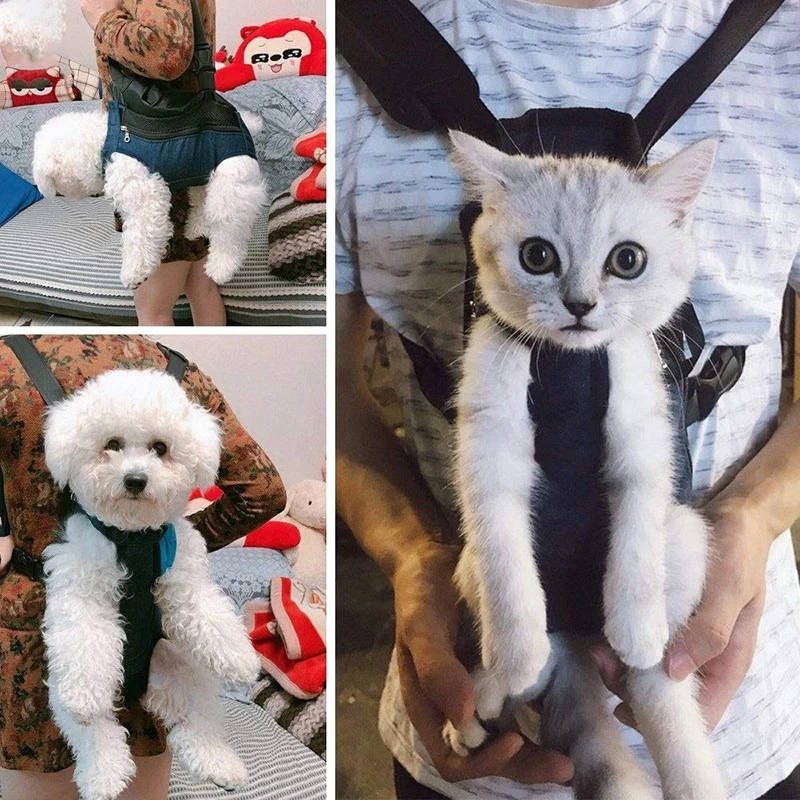 Benepaw-mochila transpirable para perro pequeño, duradera, ajustable, cómoda, acolchada, cinturón de seguridad, portador de mascotas, gato, cachorro, bolsa de viaje - imagen 2